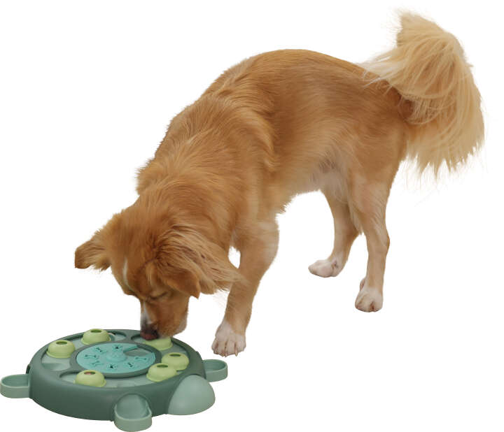 KERBL Denk- und Lernspielzeug Schildkröte